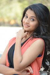Arthana Binu at Seethamma Andaalu Raamayya Sithraalu Success Meet